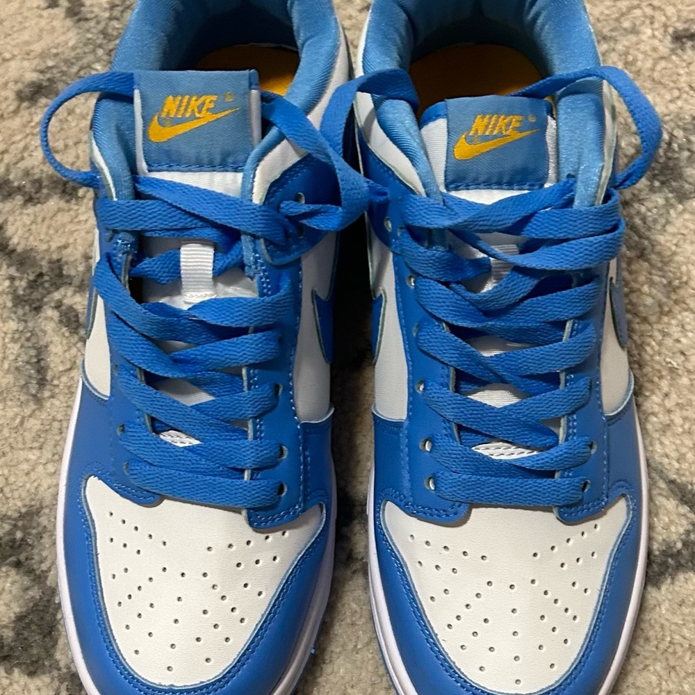2021 Nike Dunk Low ‘coast’